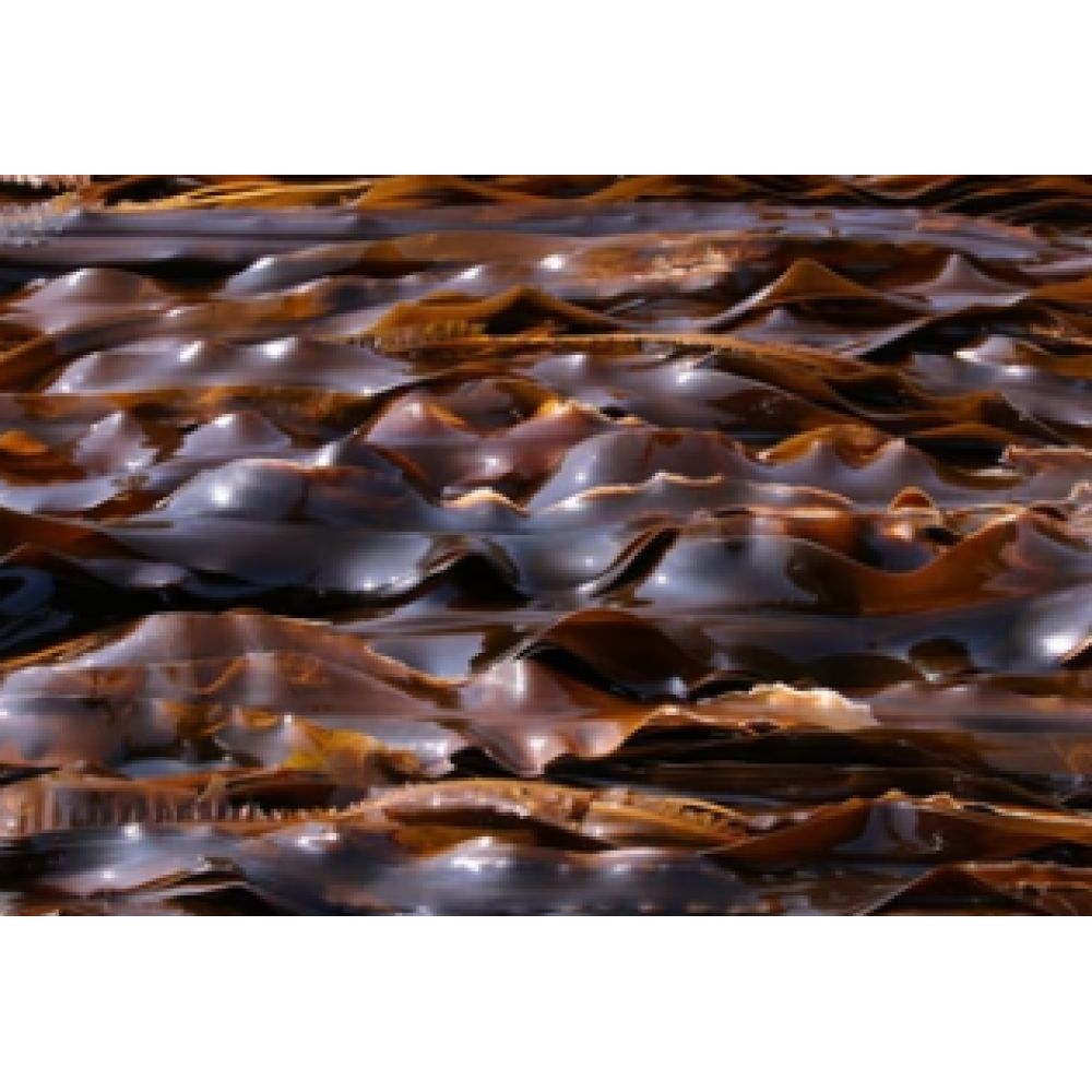 CARELIKA Exotic Body Scrub - Skrubis ķermenim ar greipfrūtu, jūras sāli un ēterisko mandarīnu eļļu, 200ml