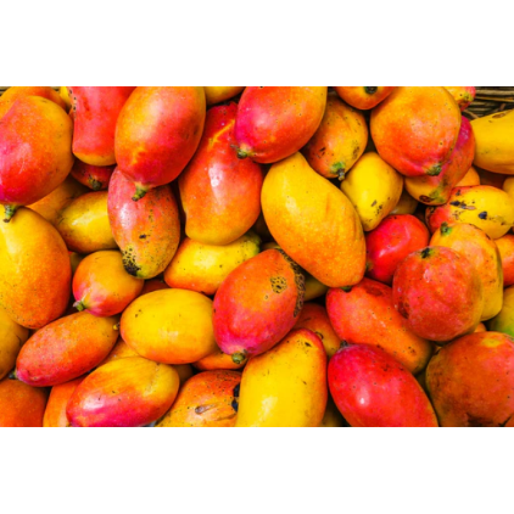 CARELIKA Exotic Body Butter - Barojošs ķermeņa sviests ar ādu mīkstinošām īpašībam, 250ml