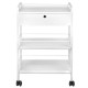 COSMETIC TABLE - BEAUTY SALON TROLLEY 1019A GIOVANNI