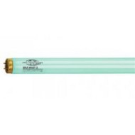 Solārija lampa Max Warp 800 Longlife X-Press 0.3 100W